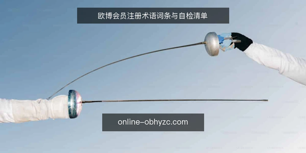 欧博会员注册术语词条与自检清单 — 为何现在审计注册流程 配图